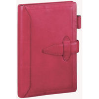 レイメイ藤井 ダ・ヴィンチ手帳ロロマ聖書１５ミリピンク DB3211CL 1冊（直送品）