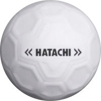 HATACHI(ハタチ) グランドゴルフ ボール シュートボール グラウンド・ゴルフ 忠実構造ボール ホワイト BH3460 5球（直送品）