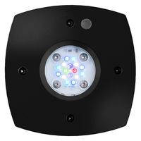 Aqua Illumination AI PRIME（プライム）16HD SPS・LPS・海水魚向け
