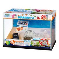 きんぎょさん専用 水作 NEW きんぎょファミリー S 268092 1個（直送品） - アスクル
