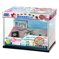 水作 ＮＥＷ　きんぎょファミリー　Ｓ 268092 1個（直送品）