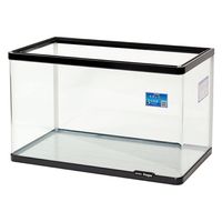 曲げガラス 水槽 60の人気商品・通販・価格比較 - 価格.com
