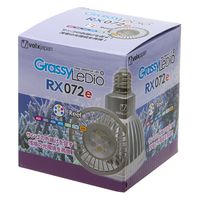 volxjapan（ボルクスジャパン） Grassy LeDio RX122 Sunset/サン