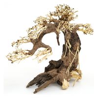 J~n^ iBONSAI ܗt L 238509 1iij