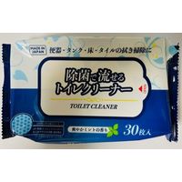 ペーパーテック 流せる除菌ミントのトイレクリーナー 4580131778512 1個(30枚)