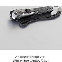 エスコ [単4x1本] フラッシュライト/LED(黒) EA758RK-11A 1セット(10個)（直送品）