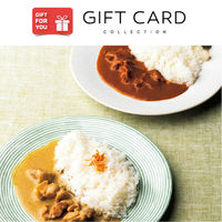 御歳暮 年末の贈り物 景品 日本の極み 淡路島の玉ねぎ 牛すじ カレー＆グリーン カレー ギフトカード 二重封筒 熨斗 １式（直送品）