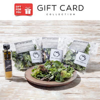 御歳暮 年末の贈り物 景品 「ANA x Ortolano」 ファーストクラスのサラダセット ギフトカード 二重封筒 熨斗 １式（直送品）