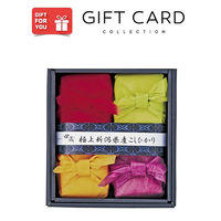 AoyamaLab 御歳暮 年末の贈り物 景品 極上 新潟県産 コシヒカリ ギフトセット 4個 ギフトカード 二重封筒 熨斗 １式（直送品）