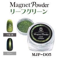 プリジェル プリアンファ マグネットパウダー リーフグリーン 126525  1個（直送品）