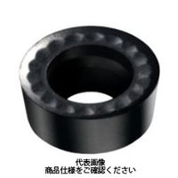 サンドビック（SANDVIK） TAチップ RCGX