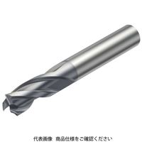 サンドビック ソリッドエンドミル 1P251ー0300ーXA1630 1本（直送品）