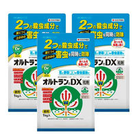 住友化学園芸 オルトランDX粒剤 1kg 2003000001630 1セット(3袋)