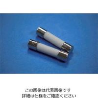 エスコ 250Vx 10A/φ 6.4mm 管ヒューズ(消弧剤入/2本) EA758ZZ-26A 1セット(10本:2本×5袋)（直送品）