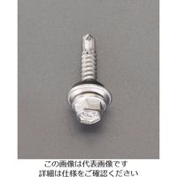 エスコ 6x19mmピアスビス(六角頭シール付/ステンレス/30本 EA949EG-861 1セット(60本:30本×2パック)（直送品）