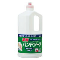 薬用ハンドソープ 4901329500065 1400ML×4点セット カネヨ石鹸（直送品）