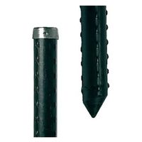 シンセイ ステンレスキャップ支柱25×2100mm 4582193315070 1セット(10本)（直送品）