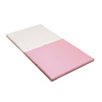 コトブキ工芸 PLAYマット＋ 白×ピンク（ロゴ：パステル）2枚 IB097 1セット（直送品）