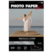 プリンター用紙 写真用紙 A4 20枚 マット 写真用アートペーパー 厚手 ホワイト EJK-QMA420 エレコム 1個