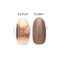 アイニティ ハイエンドカラー ニュアンスボトルコレクション ＮＢー０６Ｍ くるみ ５ｍｌ 1個（直送品）