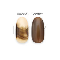 アイニティ ハイエンドカラー ニュアンスボトルコレクション ＮＢー０９Ｍ ちょこ ５ｍｌ 1個（直送品）