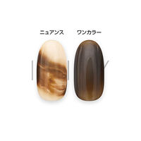 アイニティ ハイエンドカラー ニュアンスボトルコレクション ＮＢー０８Ｍ くり ５ｍｌ 1個（直送品）