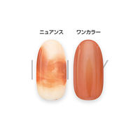 アイニティ ハイエンドカラー ニュアンスボトルコレクション ＮＢー０４Ｍ かき ５ｍｌ 1個（直送品）