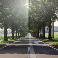 スリーエム ジャパン ファサラ　フロスト／マット　ＳＨ２ＭＡＣＲーＩ　マットクリスタル　アイ　１５２４ｍｍＸ３０ｍ 060772 1本（直送品）