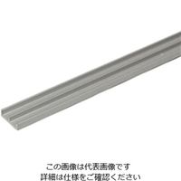 光モール アルミE型レール AEー3下 1000mm 589 1セット(4本)（直送品）