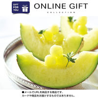 AoyamaLab オンラインギフト URLですぐ納品 贈り物や景品に_6