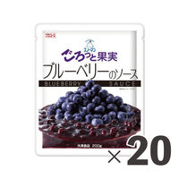 キユーピー 業務用　ごろっと果実ブルーベリーのソース 15517 １ケース　200g×20パック　冷凍（直送品）