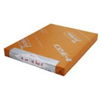 SAKAEテクニカルペーパー シルバーケント紙　Ｓー１８０ーＢ５（規） S-180-B5(キ) 50枚（直送品）