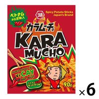 ベトナムスティックカラムーチョ ホットチリ味 90g 6袋 湖池屋 ポテトチップス スナック菓子 おつまみ