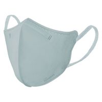 アイリスオーヤマ ＤＡＩＬＹ　ＦＩＴ　ＭＡＳＫ　立体　ふつう　３０枚入 RK-F30SXF 1箱(30枚入り)（直送品）