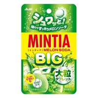 アサヒグループ食品 ミンティア　メロンソーダ　ＢＩＧ 4946842529858 ２０ｇ×１６個（直送品）