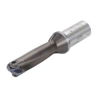 タンガロイ TIS L/D=3 TIS300F32-3 1個（直送品）