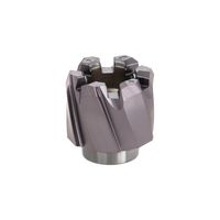 タンガロイ HRMーBL HRM-12.000-BL-T5:AH725 1個（直送品）