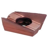 大昭和精機 スローアウェイチップ ARG801104DS20 1セット(10個)（直送品）