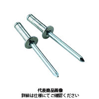 新潟精機 フレックスブラインドリベット FXー501 50本入 1セット(300本:50本×6個)（直送品）