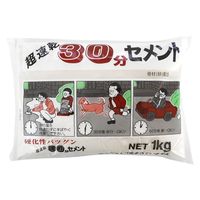 家庭化学工業 30分セメント ホワイト 1kg 4905488134161 1セット(10袋)（直送品）