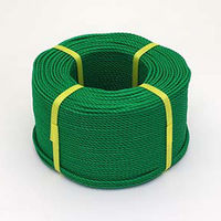 近江屋ロープ ポリエチレンロープ グリーン 10mm×200m 10mm×200mグリーン 1巻（直送品）