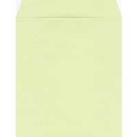 菅公工業 色紙用封筒