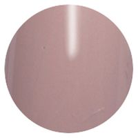 リーフジェル プレミアム カラージェル 419 レゾン・ニュアージュ ４ｇ 1個（直送品）