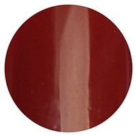 リーフジェル プレミアム ポリッシュタイプ カラー