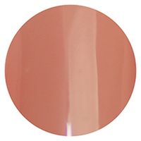 リーフジェル プレミアム ポリッシュタイプ カラー Ｐ１４ コケ 1個（直送品）