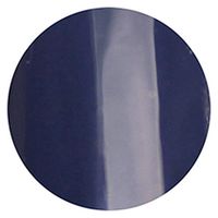 リーフジェル プレミアム ポリッシュタイプ カラー Ｐ１８ ノクチュルヌ 1個（直送品）