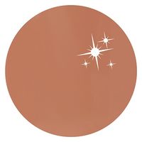 リーフジェル プレミアム カラージェル 172 シェリー・ベージュ ４ｇ 1個（直送品）