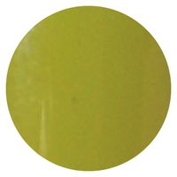 リーフジェル プレミアム カラージェル 403 ＫＡＲＡＳＨＩ（カラシ） ４ｇ 1個（直送品）