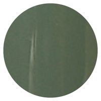 リーフジェル プレミアム カラージェル 408 ＲＯＫＵＳＨＯＨ（ロクショウ） ４ｇ 1個（直送品）