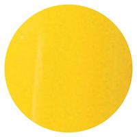 リーフジェル プレミアム カラージェル 503 ドゥー・リュミエール ４ｇ 1個（直送品）